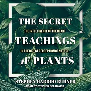 The Secret Teachings of Plants Audiolibro Por Stephen Harrod Buhner arte de portada