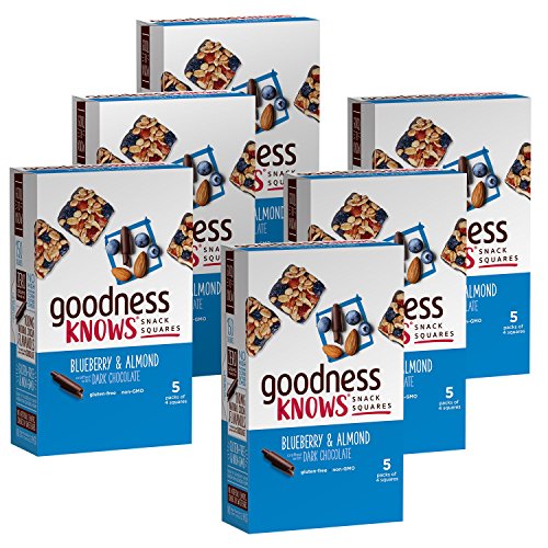 goodnessKNOWS Blueberry, Almond & Dark Chocolate Gluten Free Snacks Square Bars 5-Count Box (Pack of 6)