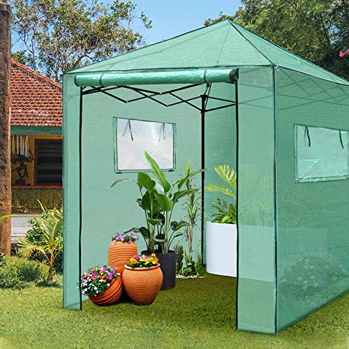 Pexfix 8'X 8' Portable Walk-In Greenhouse Easy Setup,Indoor Outdoor Greenhouse Garden Green Houses Instant Pop-Up Greenhouse,2 Roll-Up Mesh Windows And Roll-Up Zipper Door,Green #TOP1