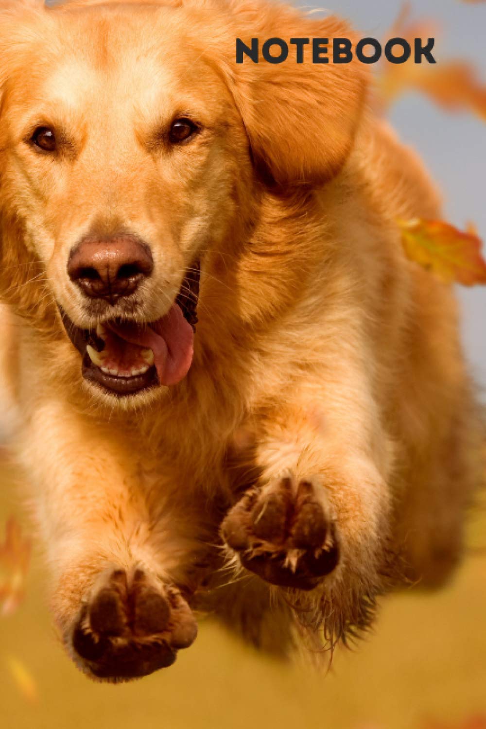 Golden retriever Notebook: blank lined composition journal | Golden Retriever dog | 100 pages