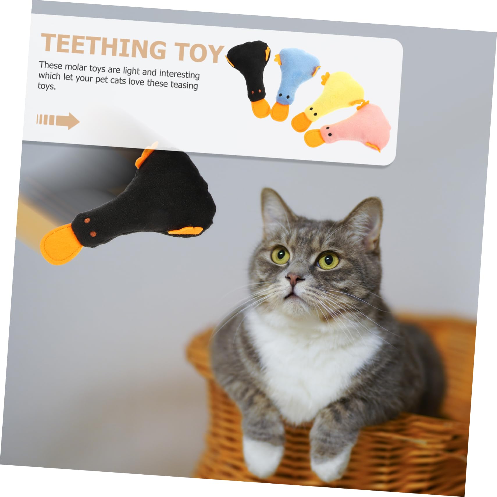 INOOMP 20piezas Juguetes De Morder para Gatos Juguetes De Peluche Hierba Gatos Interiores