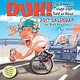 Duh! 2017 Day-to-Day Calendar