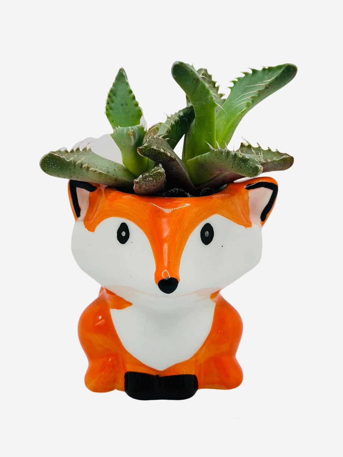 CZ Grain 1 Pot | 3 Inch | Small Succulent Plant Ceramic Animal Pot, Cute Home and Office Decor (All 6 Animals)