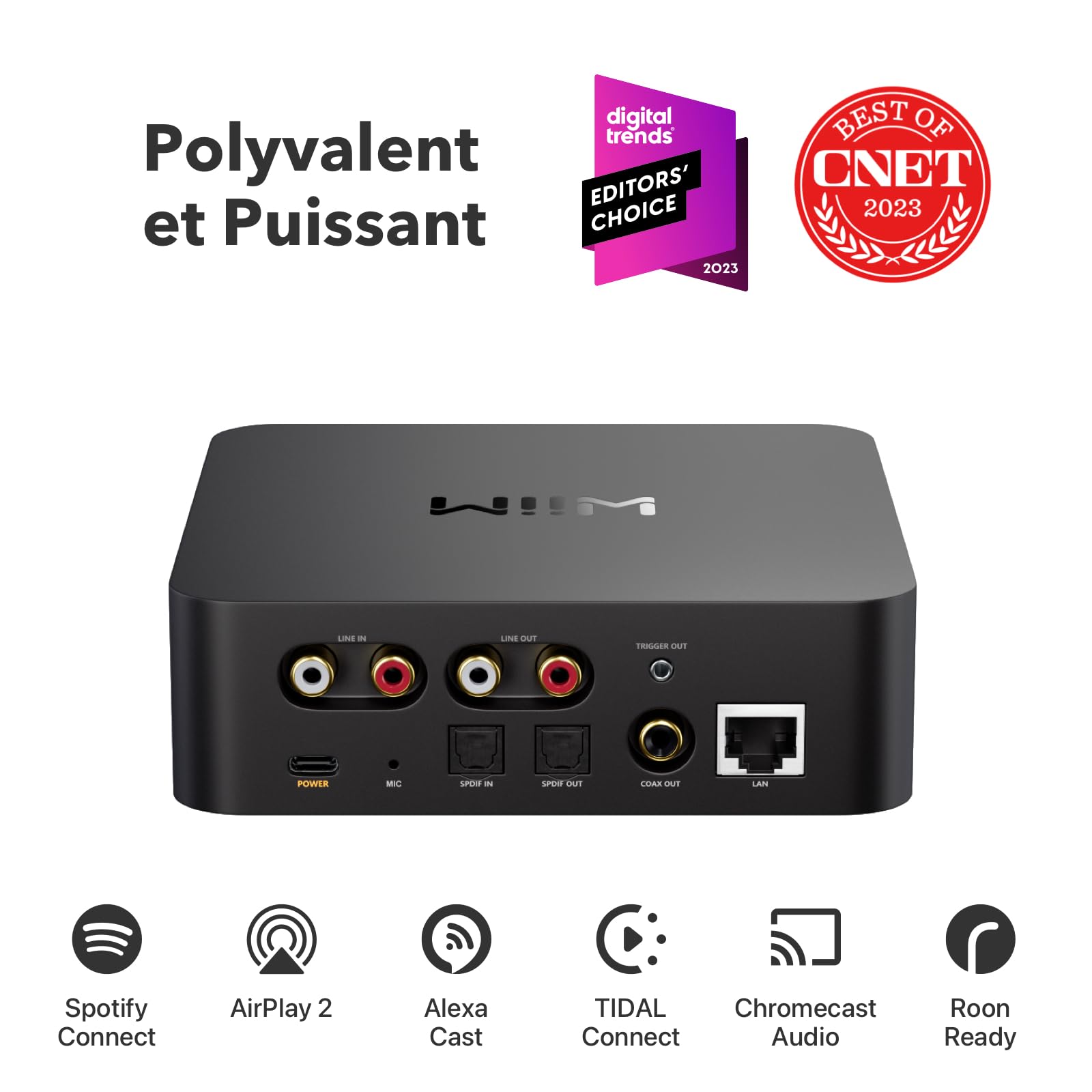 WiiM Pro Récepteur AirPlay 2, Google Cast Audio, Streamer Multi-pièces WiFi, Compatible avec Alexa, Siri et Google Assistant, Diffusion Audio Haute résolution à partir de Spotify, Amazon Music, Tidal