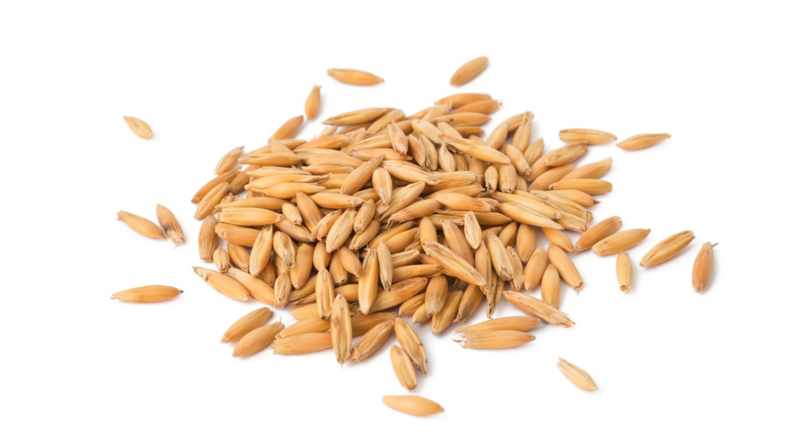 Akolity Oats Seeds for Birds 500 Grams (B0CQRCNT6S) Amazon Price History, Amazon Price Tracker