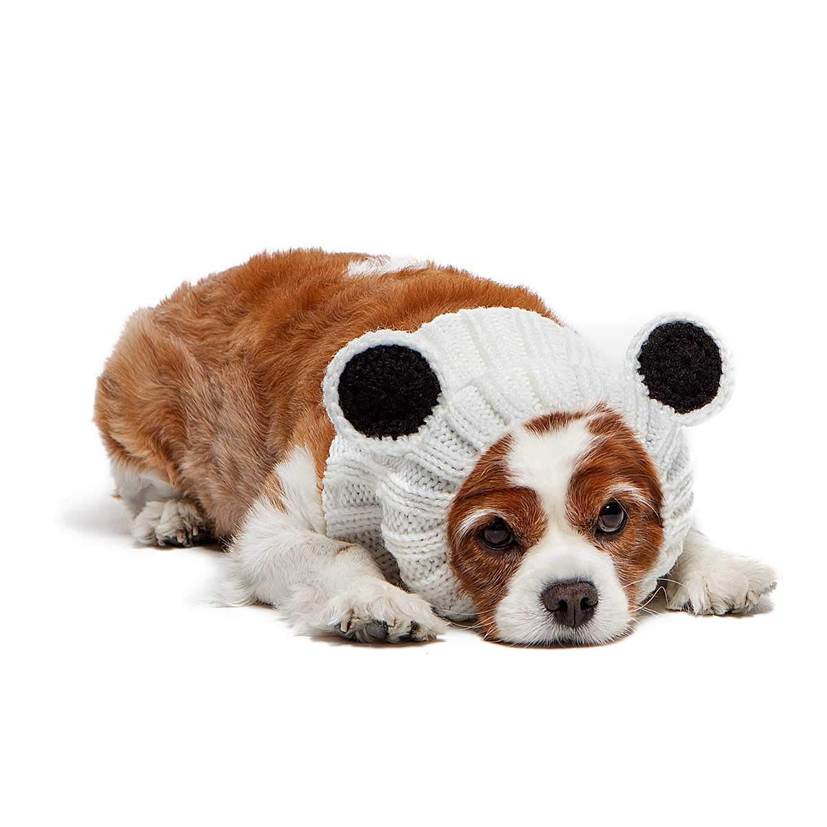amazon panda dog costume