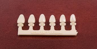 #10 Upper Left Lateral Anterior (ULL) Polycarbonate Temp Caps Refills 6 Sizes