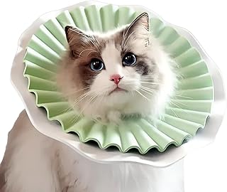 AQPET - Collar Elisabelino Suave para Gatos, Animales, plástico Flexible y Ligero, Doble Capa, Ajustable y cómodo, protección postoperatoria y heridas - Color Verde, Talla pequeña