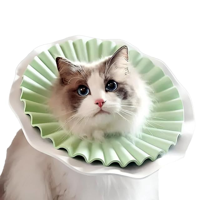 AQPET - Collar elisabelino Suave para Gatos, Animales, plástico Flexible y Ligero, Doble Capa, Ajustable…