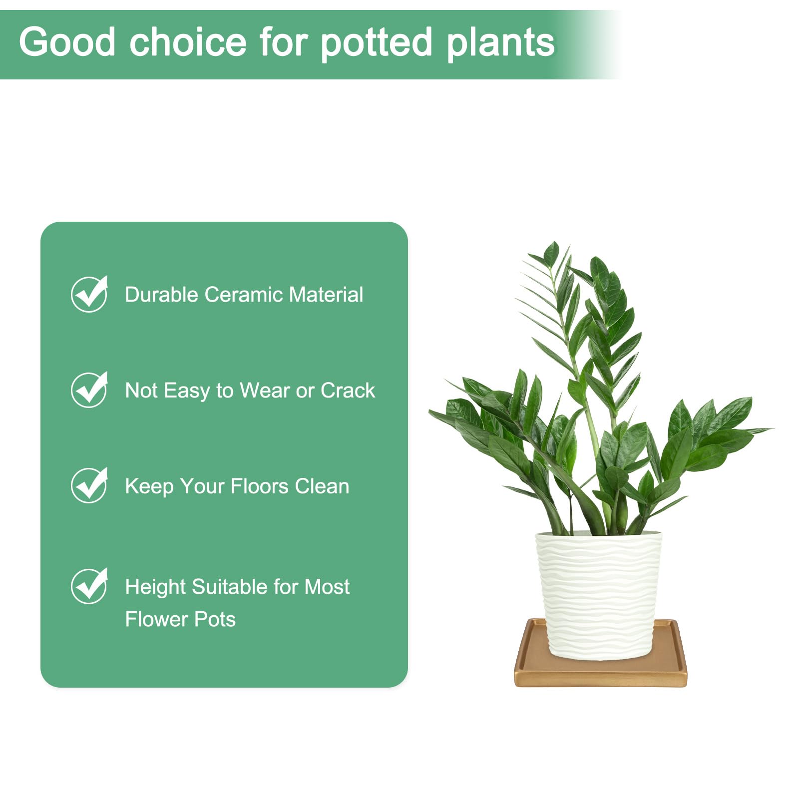 M METERXITY 2-Pack Ceramic Plant Saucer, 6.3 Inch Plant Water Catcher Tray - Image 3