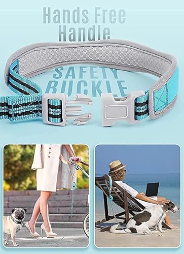 5Ft Hands Free Dog Leash For Medium Small Dogs, Nylon Dog Leash, Reflective Dog Walking Leash With Poop Bag Holder Blue #TOP1