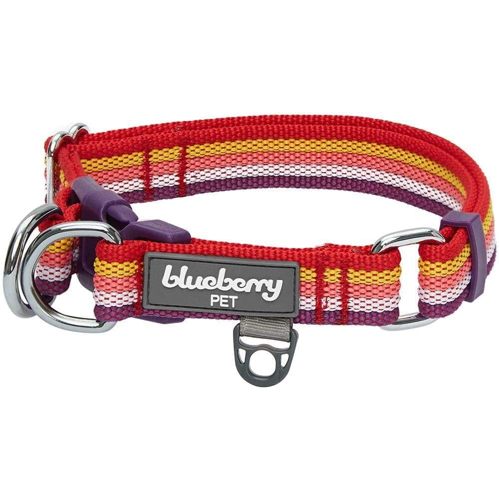 Blueberry Pet 3M Reflective Dog Collars | Adjustable Dog Collar w/Multi-Colored Stripe - Mixed Tone Rainbow Color | Nylon Pet Collars for Dogs & Refflective Dog Collar for X-Large Dogs
