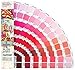 Produktbild Pantone Plus Series Color Bridge Farbfächer, gestrichen, GG5103