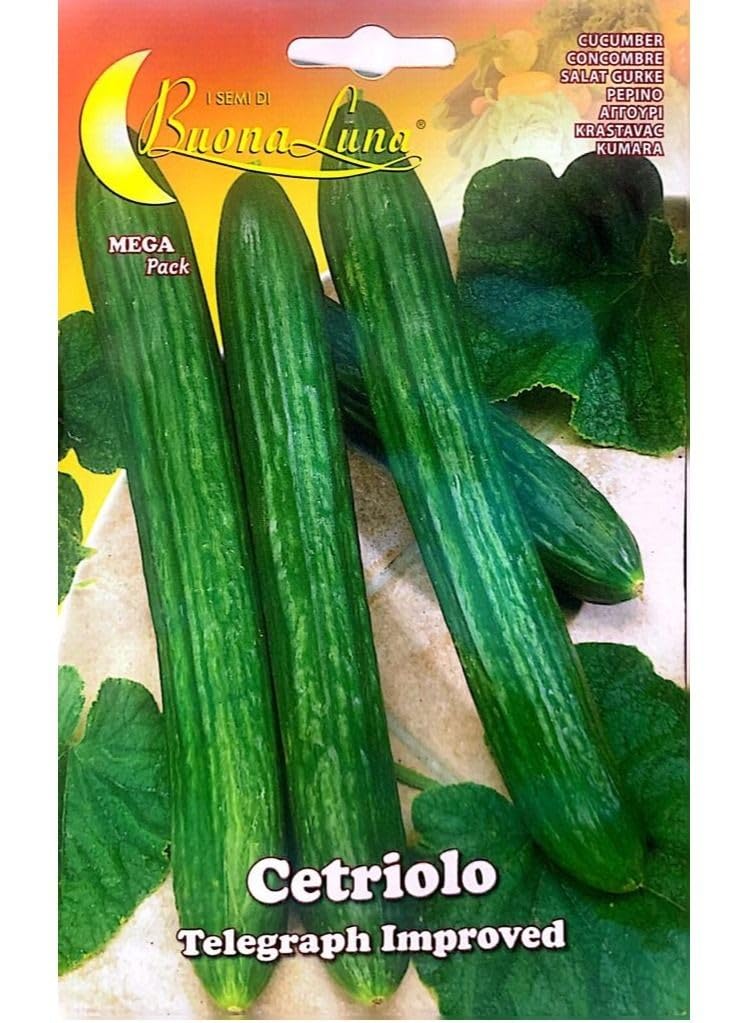 Buona Luna Cucumber Seeds