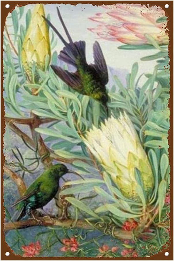 skygvvege Vintage Metal Signs Plaque Metal-Bird Hummingbird and Flower,Tin Metal Wall Art Signs Hang On Tin Plate Wall Decoration Poster