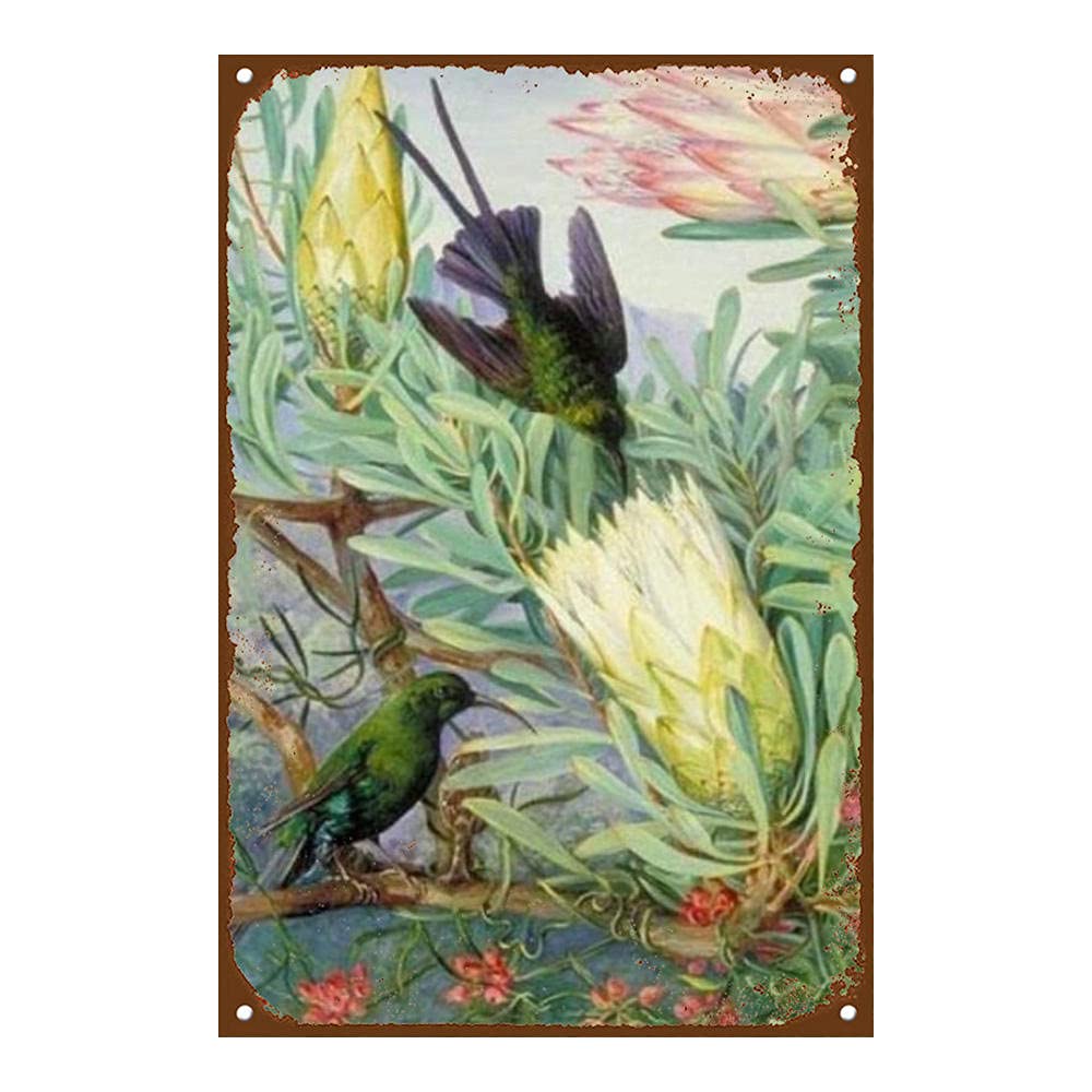 skygvvege Vintage Metal Signs Plaque Metal-Bird Hummingbird and Flower,Tin Metal Wall Art Signs Hang On Tin Plate Wall Decoration Poster