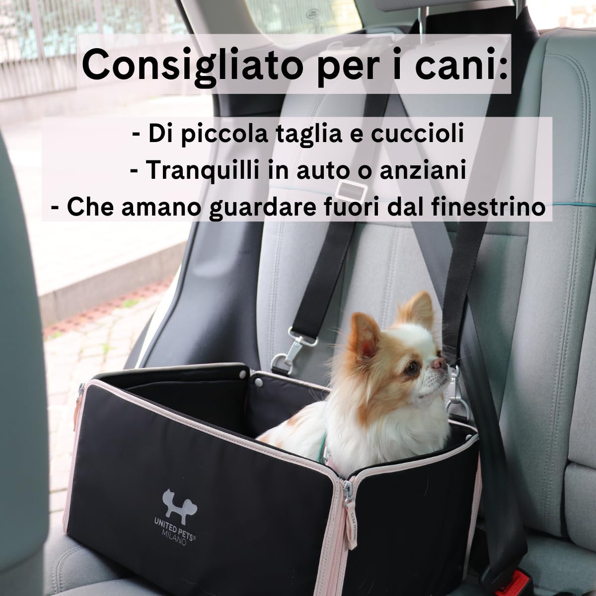 UNITED PETS Car Box - Transportín Coche para Perros - Funda Interior Lavable 100% R-Pet Negro Verde Plegable Compatible con Todos los Coches Transportín de Viaje