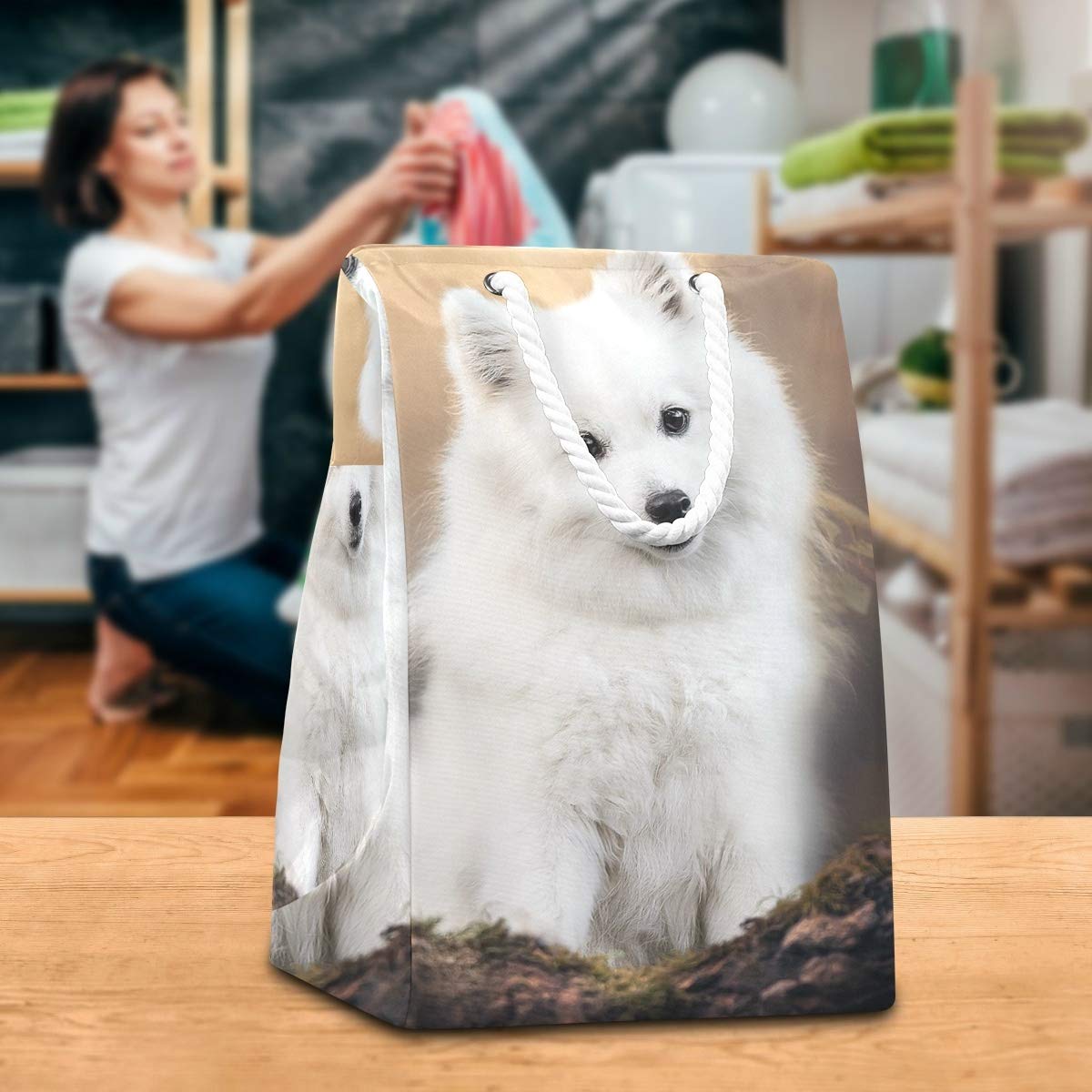 White Pet Dog Spitz Animals - Bolsa de lavandería para la ropa sucia plegable con asas fáciles de transportar