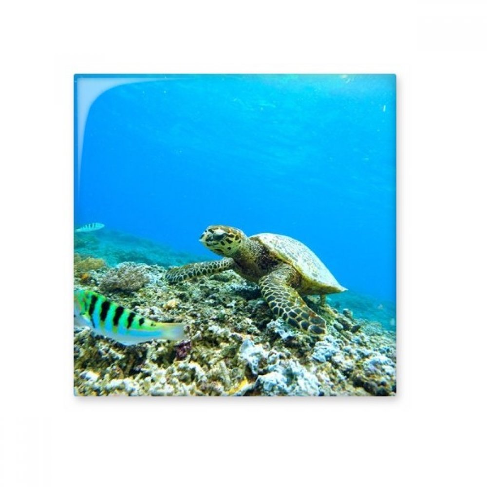 Carreaux de céramique tortue de mer pour rénover une salle de bain
