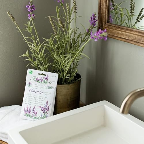 Miniatura 40 de WillowBrook Fresh Scents - Paquete de bolsitas perfumadas Hello Gorgeous Bolsas ambientadoras para cajones, armarios, autos Paquete de 6