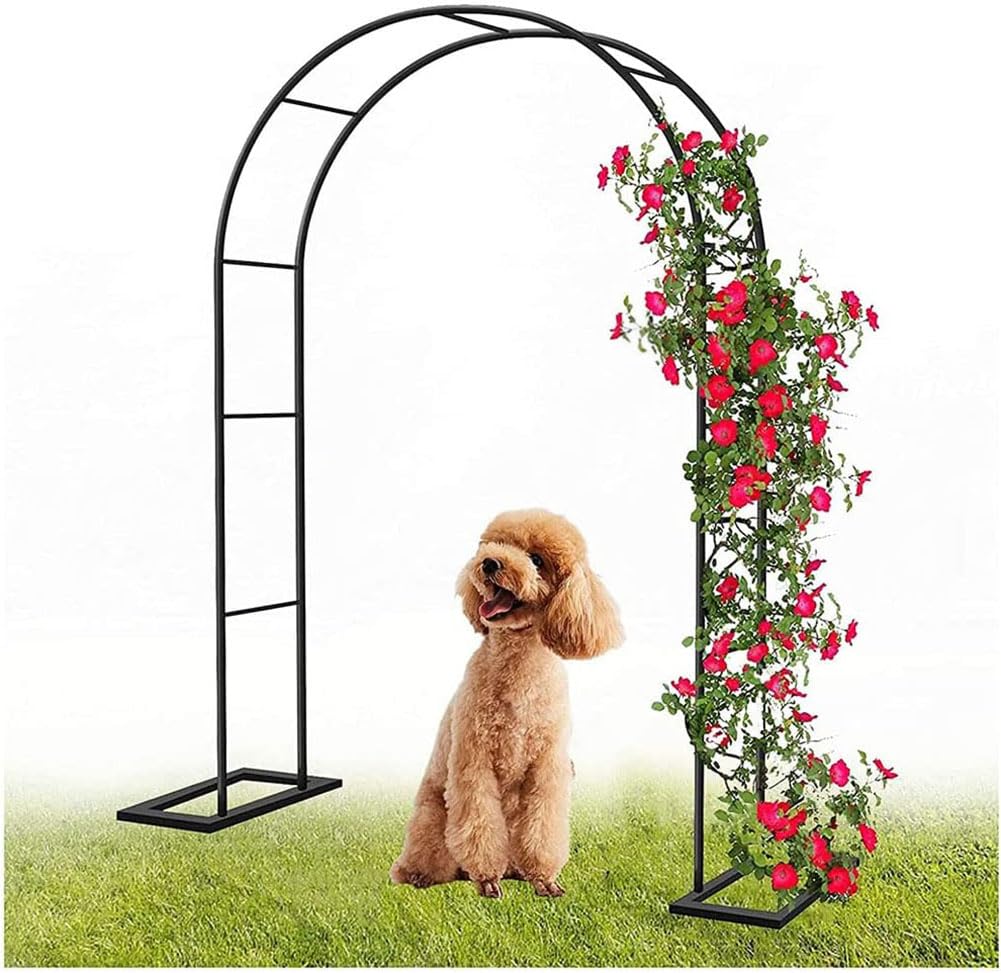 Arches à roses en métal parfaites pour sublimer les mariages et les allées