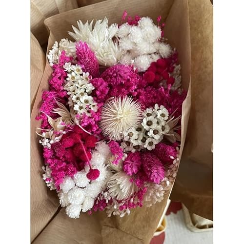 REGALA FLORES | Ramo de flores naturales a domicilio | Entrega puntual en 24 horas de Lunes a Viernes | Primavera flores secas para ramos de flores (ROSA)