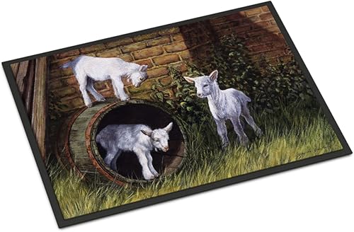 Caroline's Treasures BDBA0232JMAT - Tapete para interiores o exteriores, 24 x 36 pulgadas, 36 pulgadas de largo x 24 pulgadas de ancho, multicolor