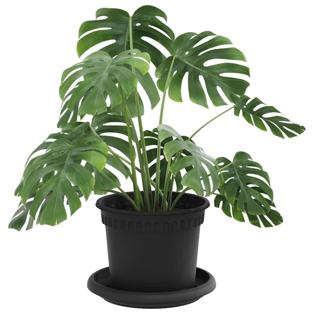 Blumentöpfe 24 Stück Schwarz Ø 12,5 x 10 cm Kunststoff Pflanzgefäße Balkon Garten Zimmer Indoor Outdoor Pflanztöpfe mit Ablauflöchern und modernem Design für Pflanzenpflege