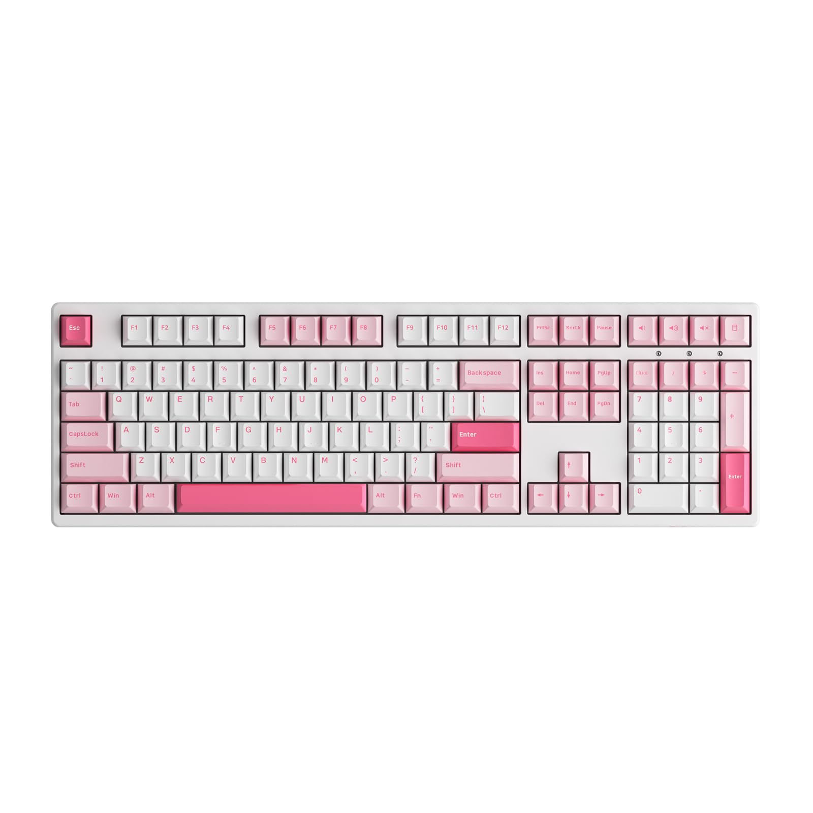 Amazon.com: Akko 3108 V3 Gaming Keyboard, Prunus Lannesiana Wired