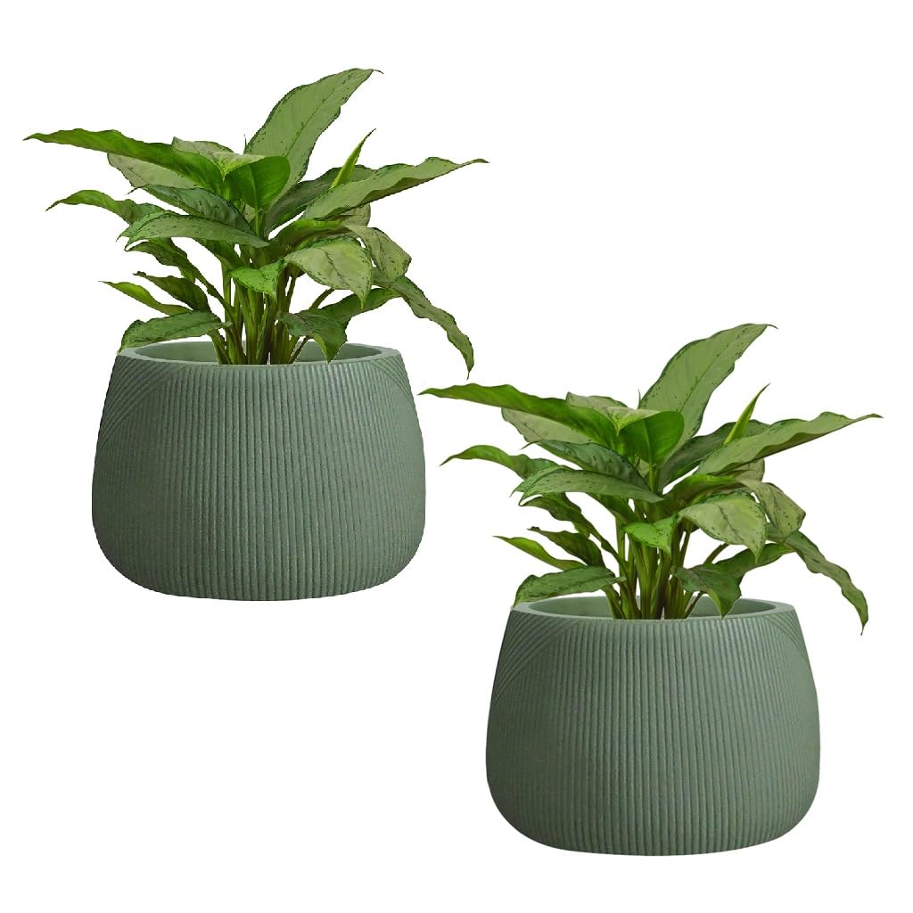 Set of 2 Fibre Clay Plant Pots 29cm Round Planters (Green, Small, 8.5L) โ image 1