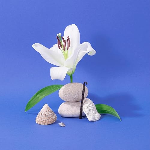 Miniatura 5 de Compagnie de Provence Savon de Marseille jabón líquido extrapuro fabricado en Francia