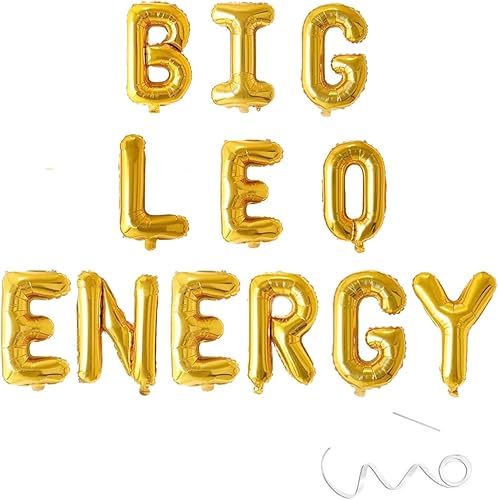 Big Leo Energy Banner, cartel de cumpleaños del zodiaco de julio y agosto, Leo del zodiaco, horóscopo, decoraciones de fiesta de cumpleaños de