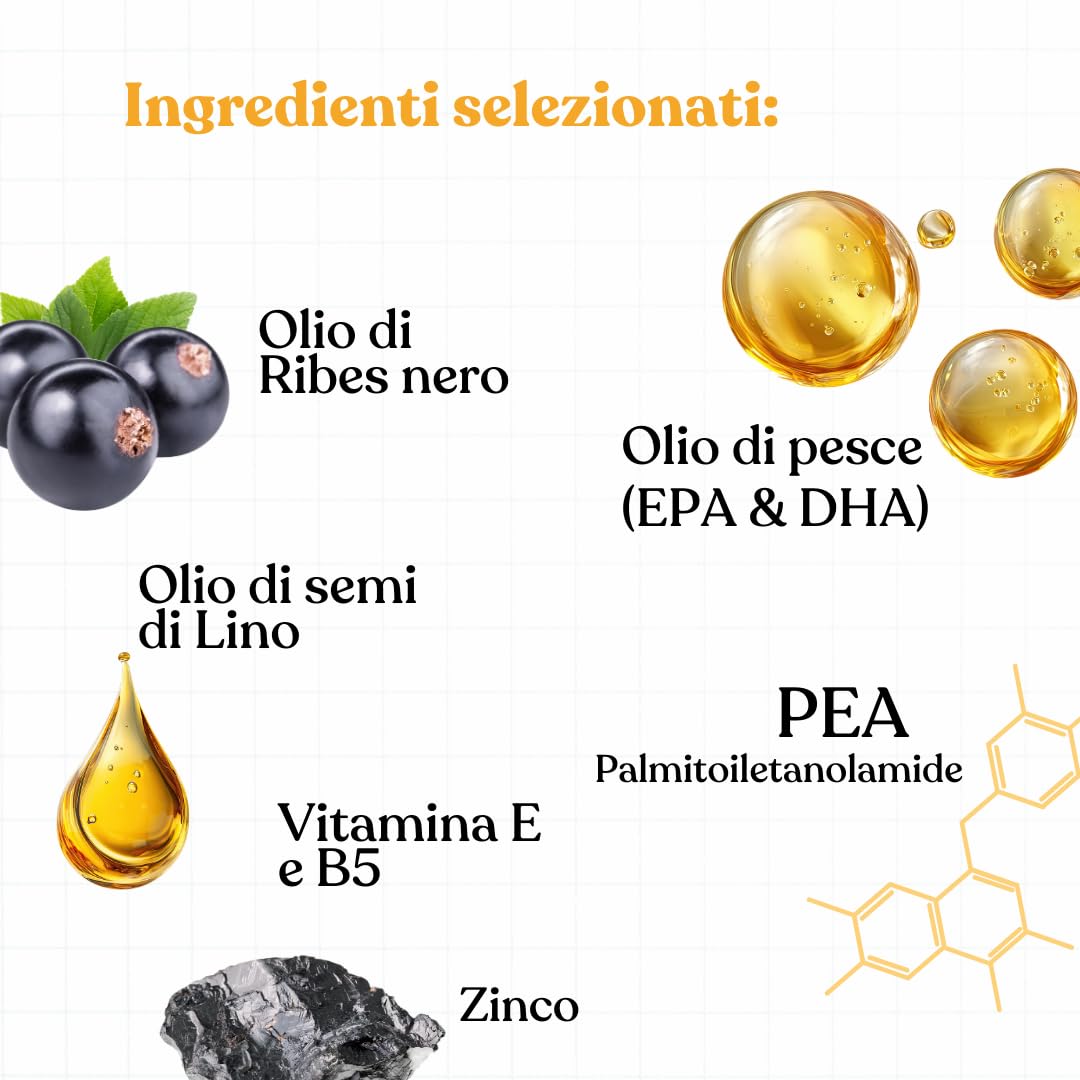 Bau Dermatite Cane e Prurito in Pasta – Stop Dermatosi Integratore Pelle e Mantello – per Perdita Pelo, Cute Irritata e Forfora – Supporto Funzione Dermica in Stick Appetibili