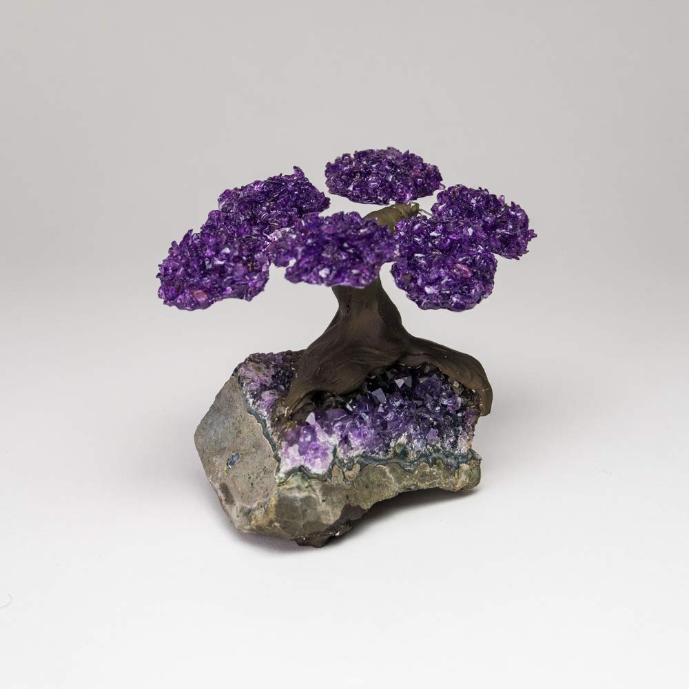 Small - Genuine Amethyst Clustered Gemstone Tree on Amethyst Matrix (The Protection Tree)
