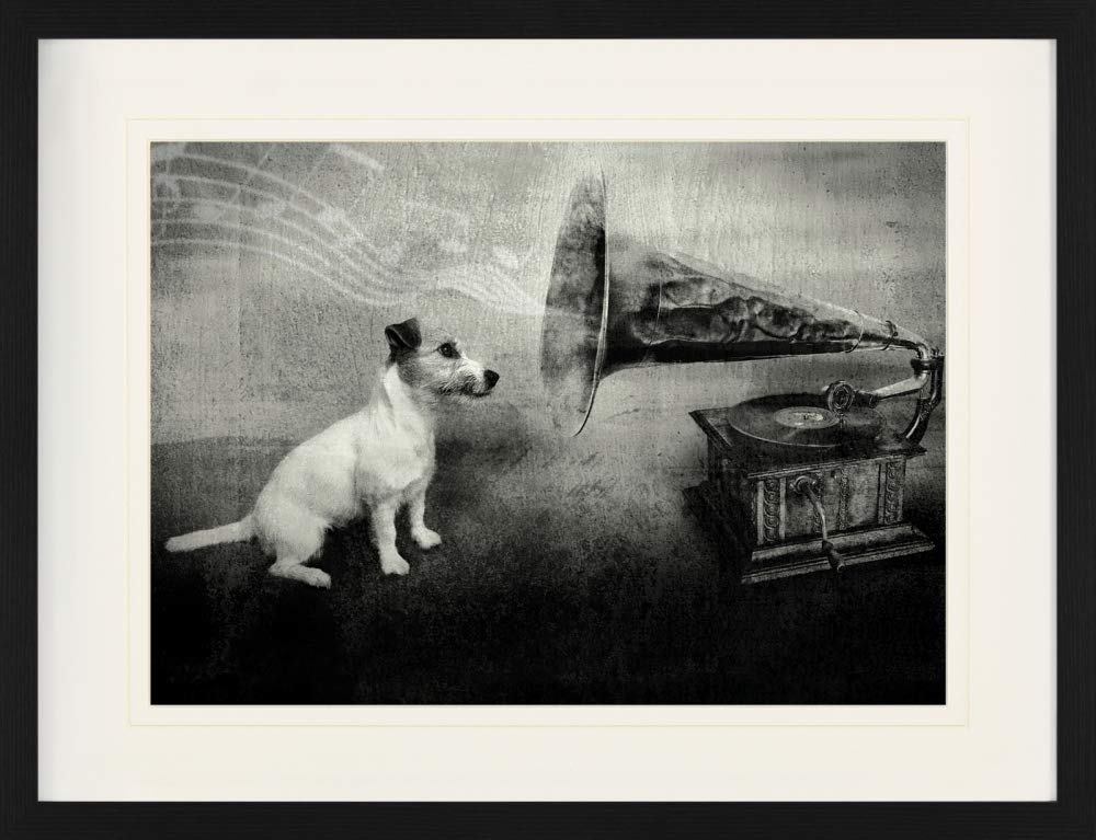 1art1 Zerbino Cani - His Master's Voice Jack Russell Terrier - 70x50 Cm - Superficie In Poliammide Resistente - Fondo Antiscivolo In Gomma - Lavabile In Lavatrice - 2