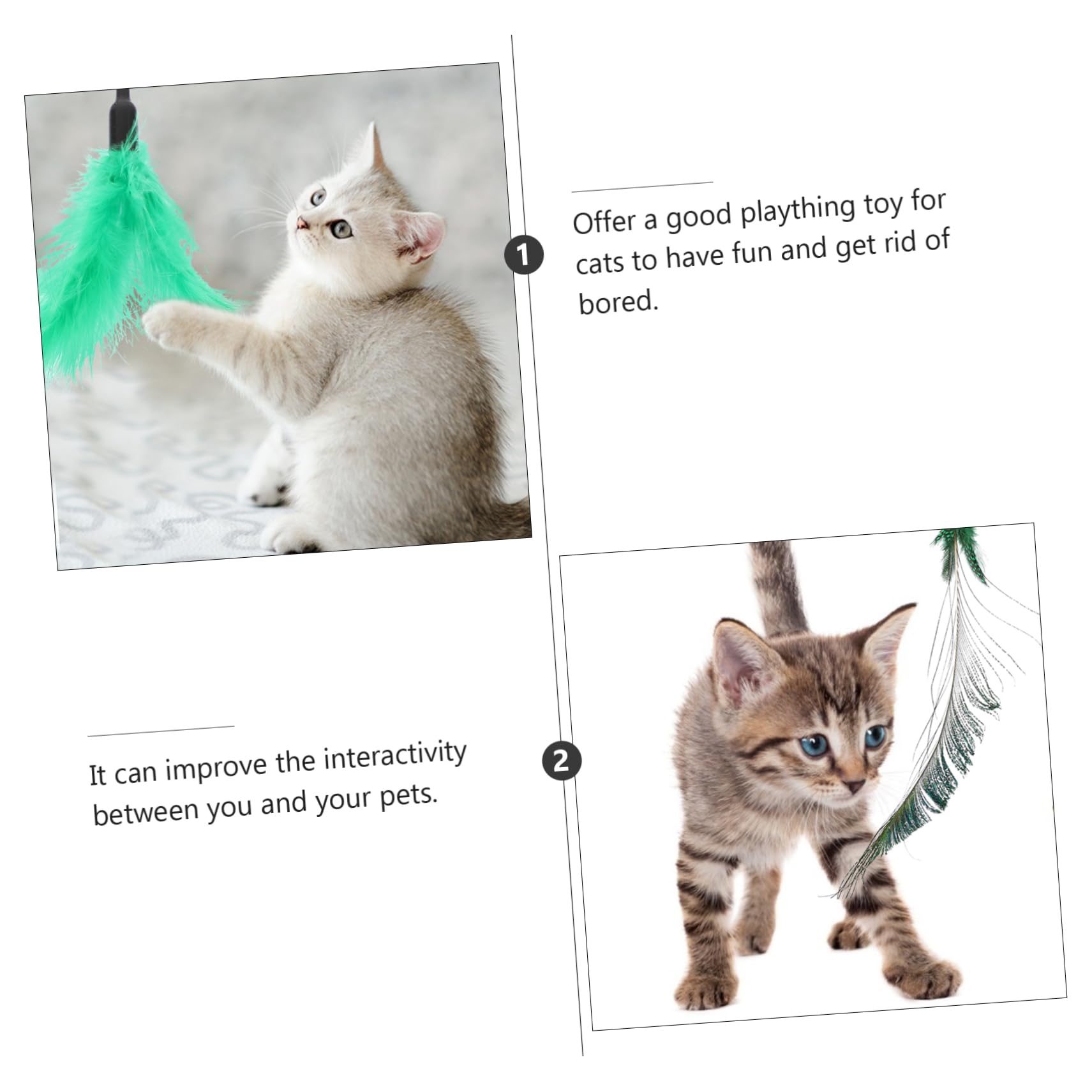 Kisangel 24pièces Jouets Interactifs pour Chat Canne Plumes Et Têtes Remplaçables Kit De Divertissement pour Chat