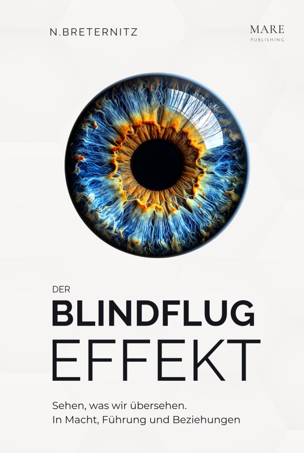 Der Blindflugeffekt: Sehen, was wir übersehen. In Macht, Führung und Beziehungen