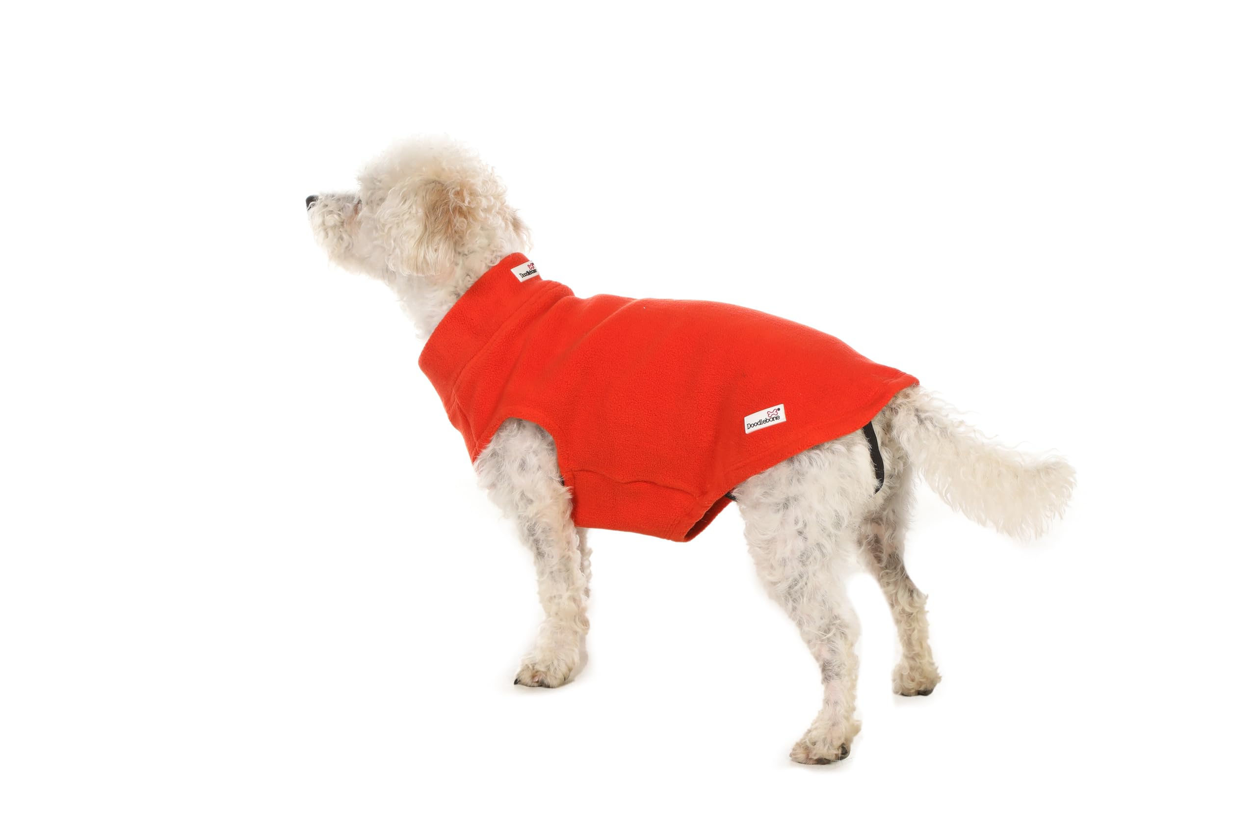 Doodlebone Dog Fleece (Pumpkin, 3)