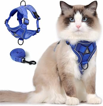 Cat Harness and Leash Set ، سترة قابلة للتعديل من Escape Proof مع الرصاص للمشي في الهواء الطلق Kitten Puppy ، جاكيت شبكي ناعم للتنفس مع شرائط عاكسة لـ Dark Night M ، Klein Blue