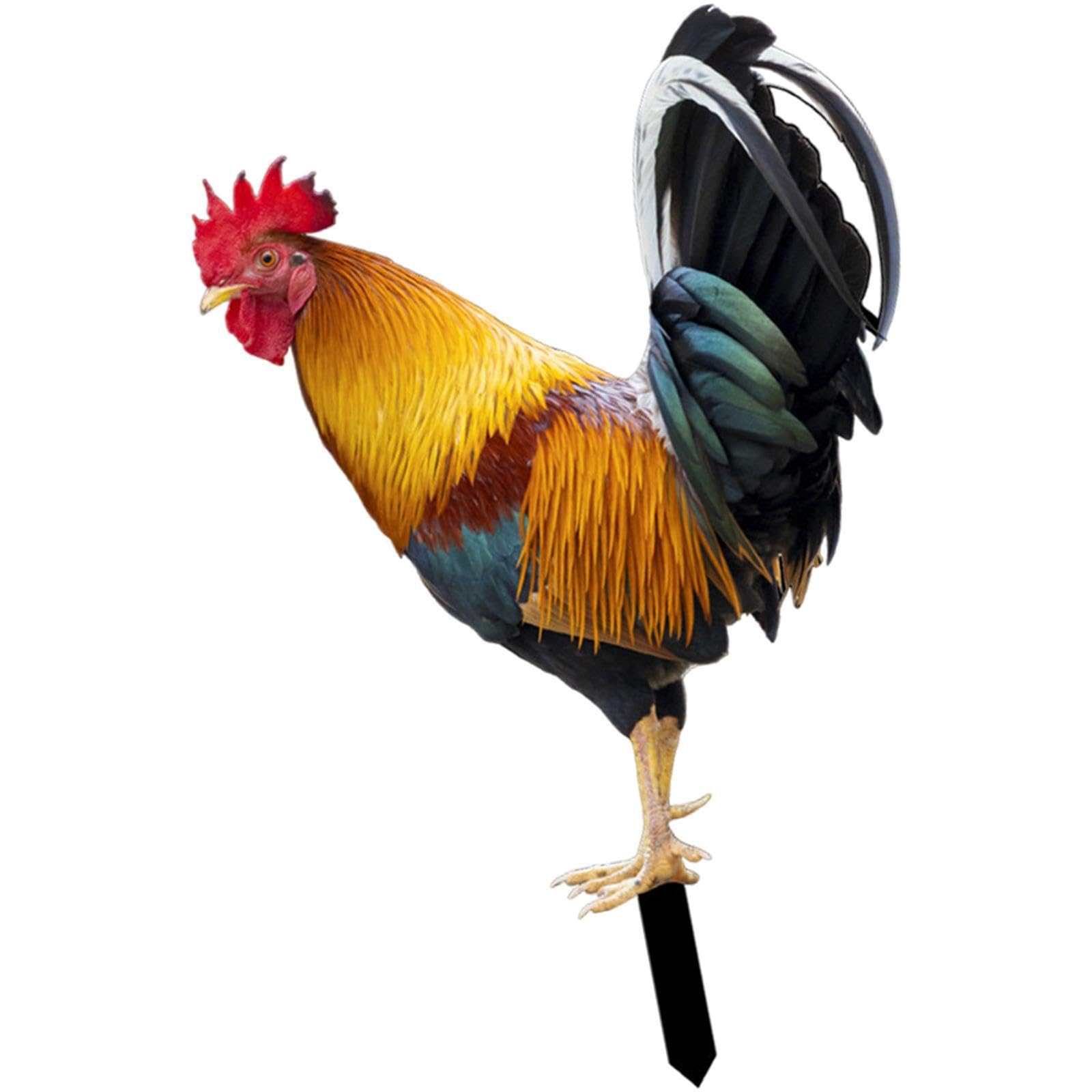 ALCXAZS Easy To Chicken Statue Installation Effortless Setup For Instant Outdoor Visual Appeal And Comfort Garden Decorations Are Made Of Premium Acrylic, Style B