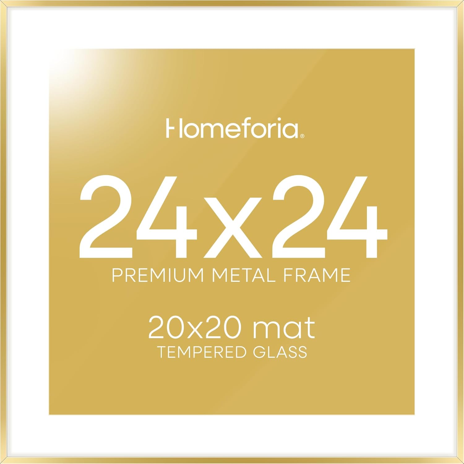 Homeforia 24x24 Gold Picture Frame with Mat