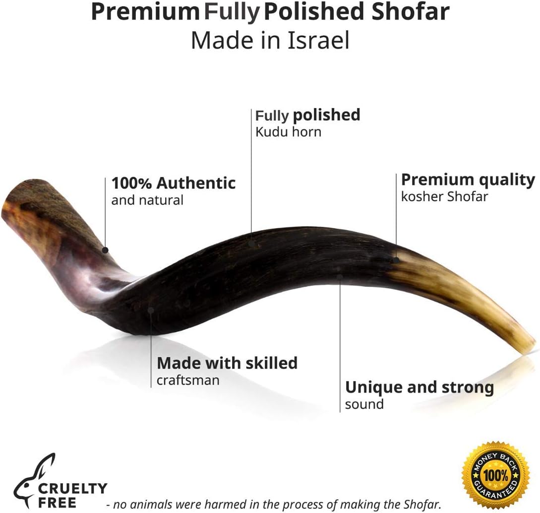 Fully Polished Kudu Horn Shofar - Yemenite Kudu Shofar - Kosher Kudu Shofar Made in Israel (14"-16") : Musical Instruments