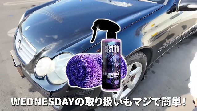 Amazon | 【SISTER】WEDNESDAY『 洗車機後の仕上げにはコレ！ 』 虫