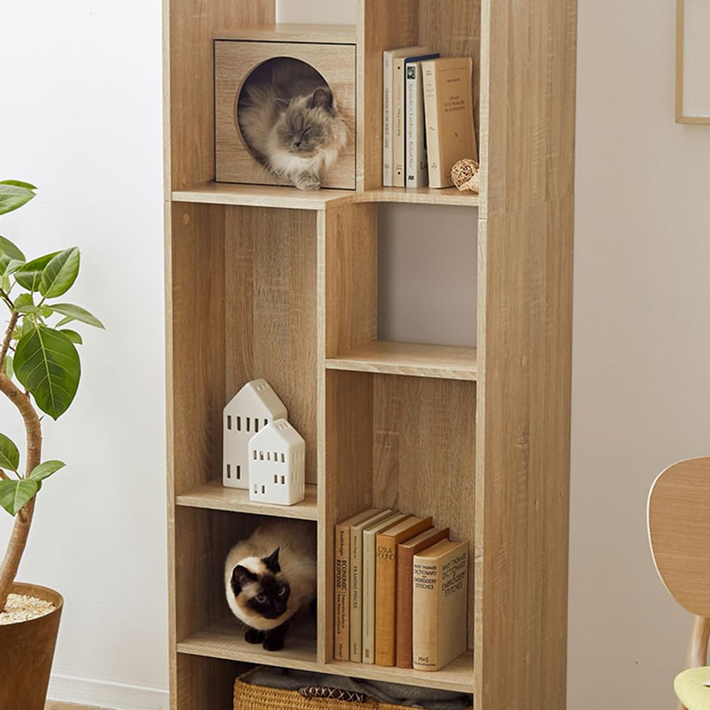 Amazon | キャットウォーク 猫 本棚 おしゃれ 収納棚 木製 幅60cm 家具
