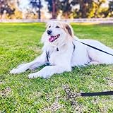 SELEWARE Dog Tie Out Stake Outdoor Anti-Rust Ground Anchor für große Hunde bis zu 220 lbs, Free Swivel Dog Stake Dog Camping Gear Twist Rod Included