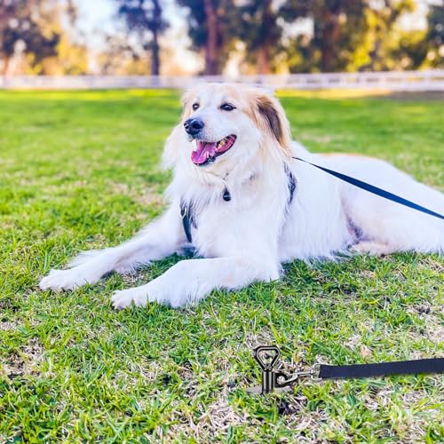 SELEWARE Dog Tie Out Stake Outdoor Anti-Rust Ground Anchor für große Hunde bis zu 220 lbs, Free Swivel Dog Stake Dog Camping Gear Twist Rod Included