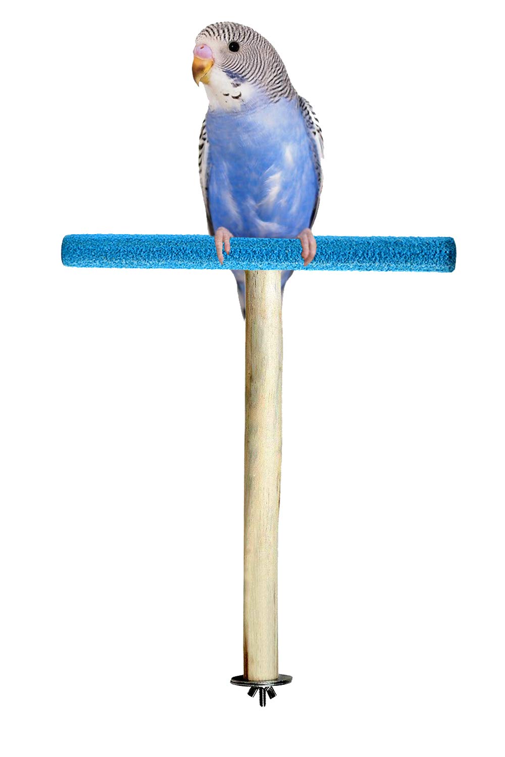 See full amazon price history chart for Western Era Sand Wooden Perch, Toy, Cage Accessory for Birds (Small Birds) Western Era Sand Wooden Perch, Toy, Cage Accessory for Birds (Small Birds) (B087WGML43) Amazon Price History, Amazon Price Tracker