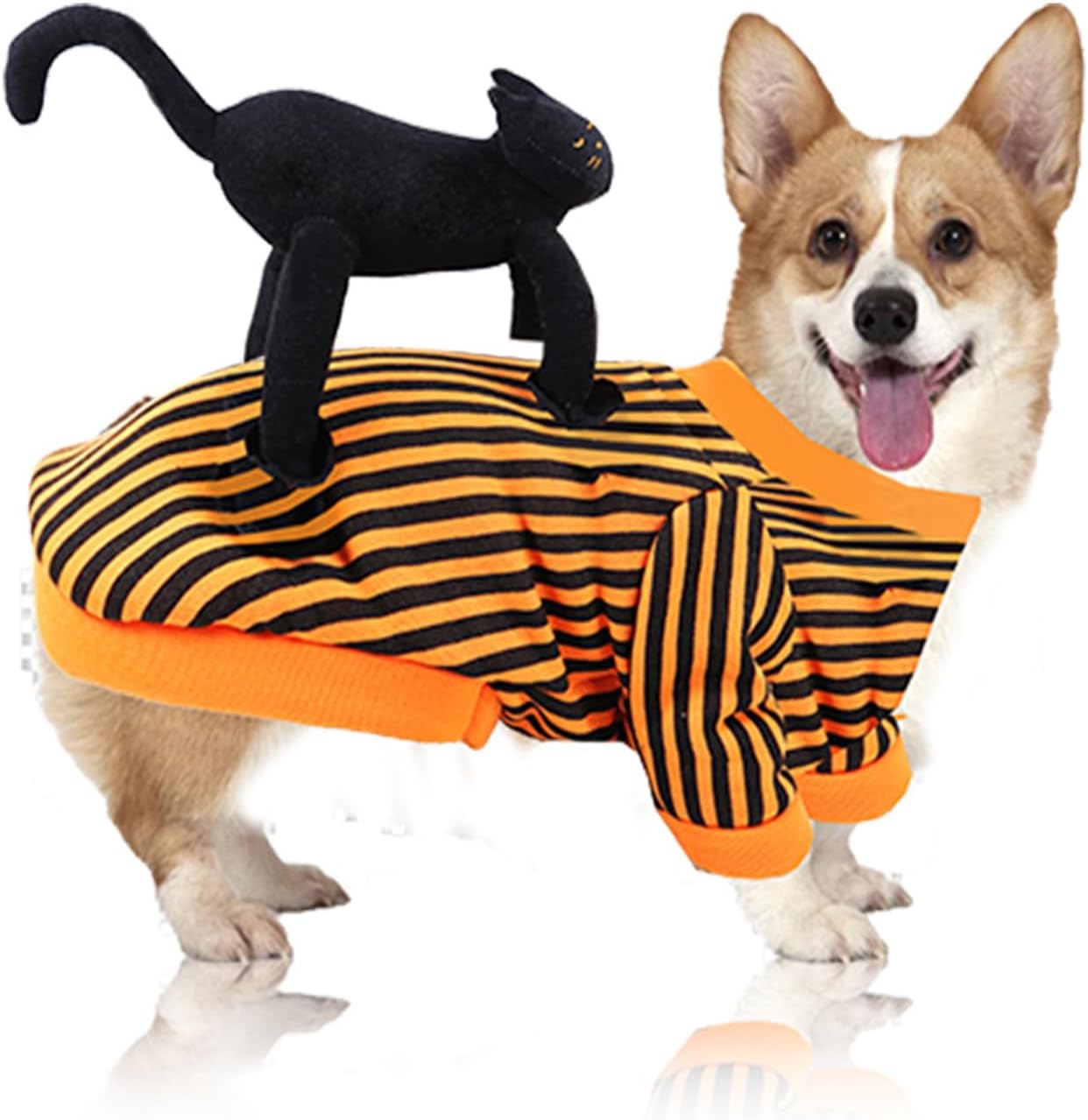 Amazon.com : Small Dog Halloween Costumes Dog Halloween Costume Small ...