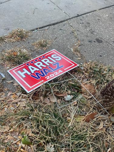 US SPECIAL PODCAST: The Rise & Fall & Rise of Trumpism &ndash; A View from Afar