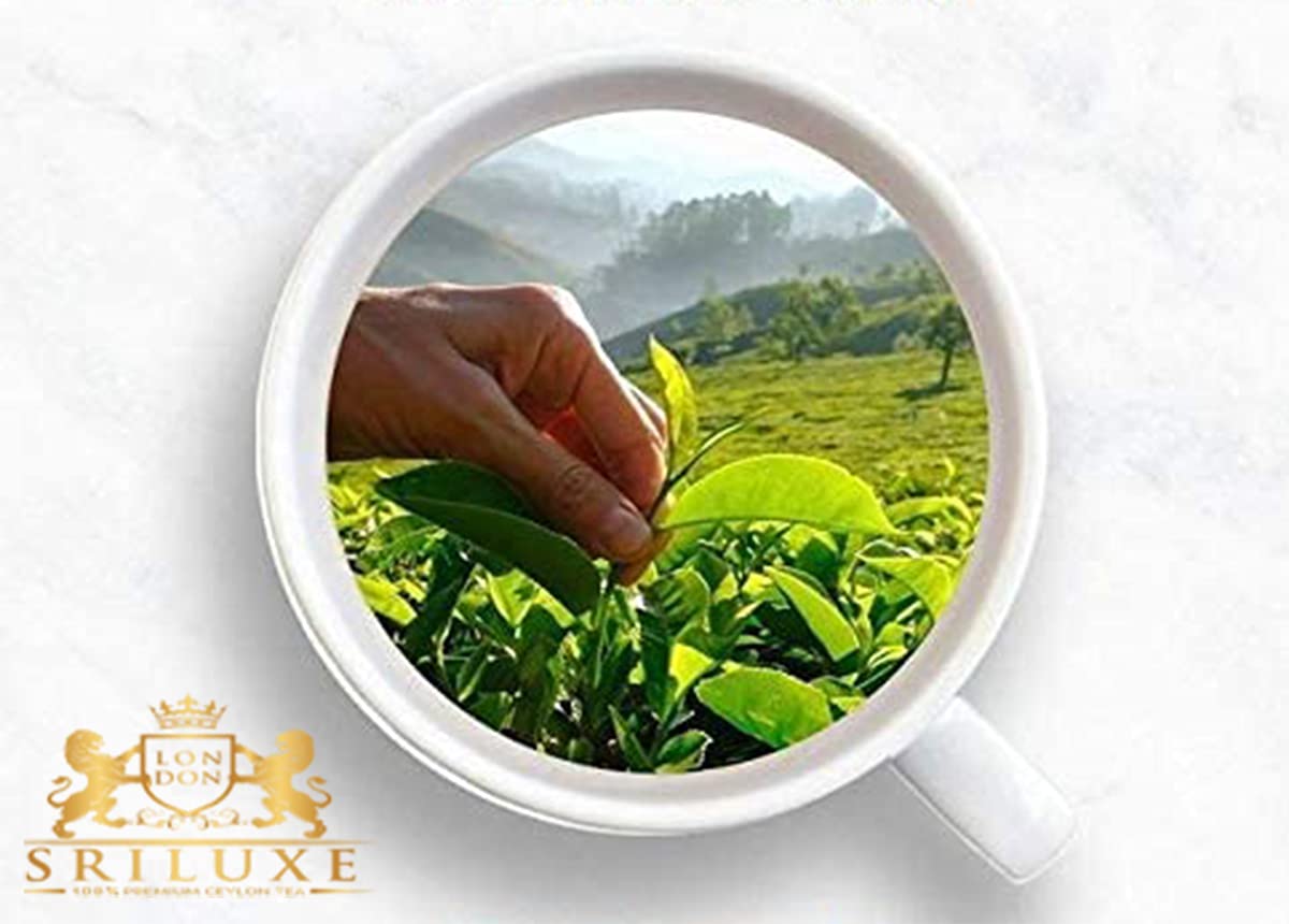 SRILUXE - Premium Quality Loose Leaf Ceylon Green Tea | 100% Natural Tea | Powerful ANTIOXIDANTS | Pure Green Tea Loose-Leaves (500g)